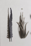 Twin Ferns by Elaine Sheppard Bolt