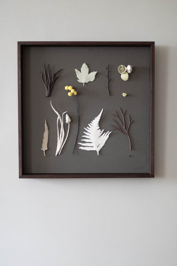 Imagined Herbarium (white fern) by Elaine Sheppard Bolt
