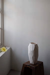 Fragment Vases by Vezzini and Chen