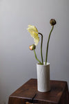 Vases by by Vezzini and Chen