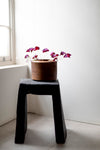 Limed Oak Bowl by Fritz Baumann