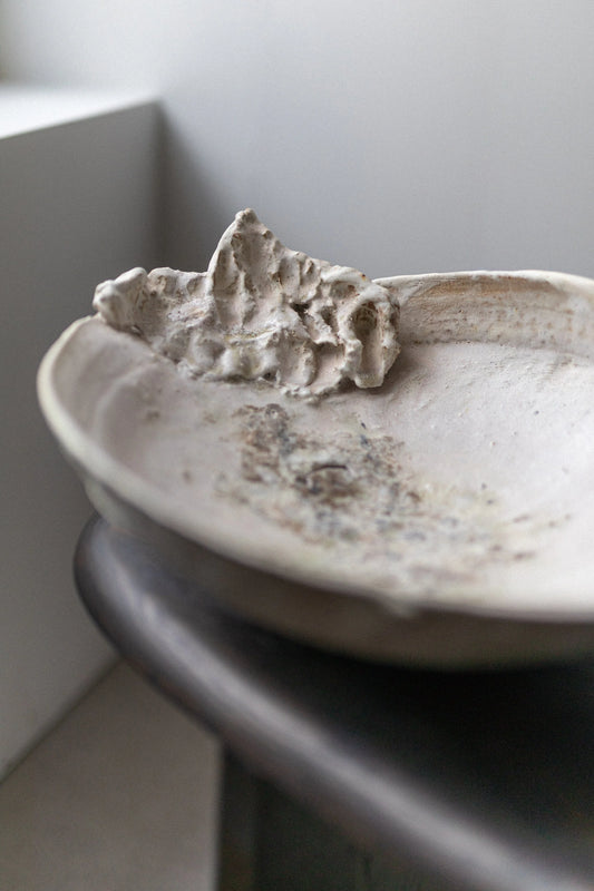 Abalone Bowl by Abigail Schama