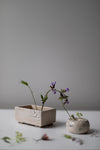pique-fleurs en bassin rectangulaire',  by Cécile Daladier