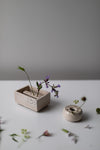 pique-fleurs en bassin rectangulaire',  by Cécile Daladier