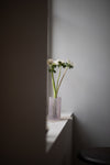 Lavender Glass Cylinder by Edmond Byrne