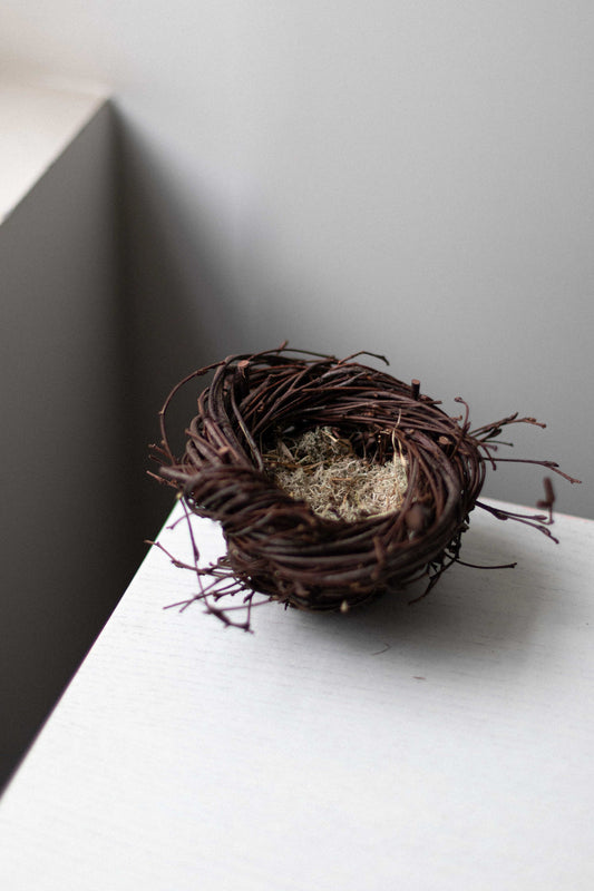 Large Birch Twig Nest with Reindeer Moss by Joe Hogan