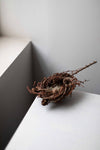 Medium Larch Nest with Reindeer Moss & Extended Branch by Joe Hogan