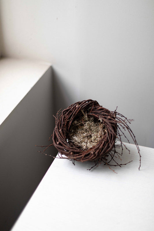 Large Birch Twig Nest with Reindeer Moss by Joe Hogan