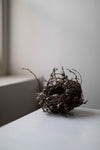 Large Catkin Nest by Joe Hogan