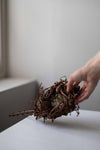 Medium Larch Nest with Reindeer Moss & Extended Branch by Joe Hogan