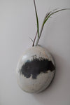 Tortoise Flower Pot, Wall Piece II by Kwak Kyung-Tae