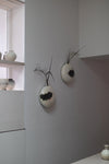 Tortoise Flower Pot, Wall Piece I by Kwak Kyung-Tae