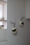 Tortoise Flower Pot, Wall Piece II by Kwak Kyung-Tae