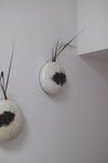 Tortoise Flower Pot, Wall Piece II by Kwak Kyung-Tae