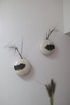 Tortoise Flower Pot, Wall Piece I by Kwak Kyung-Tae