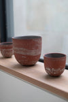 HoJung Kim Large Vessel