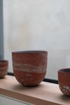 HoJung Kim Large Vessel