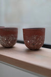 HoJung Kim Small Vessels