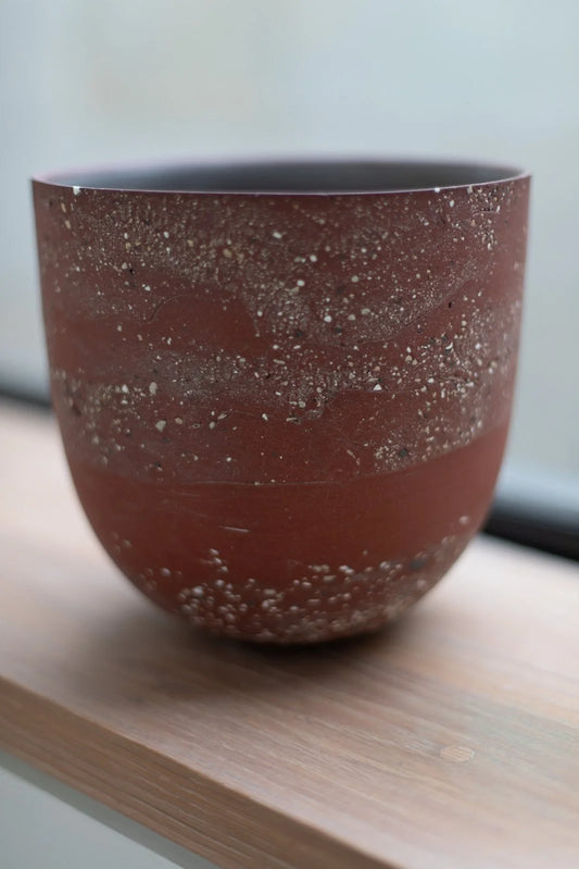 HoJung Kim Large Vessel