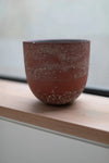HoJung Kim Large Vessel