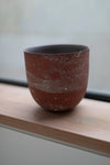 HoJung Kim Large Vessel