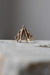 Diamond Moth Ring' by Laura Ngyou