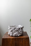 Kina Björklund White Large Vessel, Vines and Pods