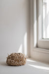 Blickling, Sweet Flag Looped Vessel I by Lizzie Kimbley