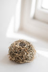 Blickling, Iris Looped Vessel I by Lizzie Kimbley