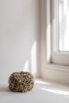 Blickling, Iris Looped Vessel I by Lizzie Kimbley