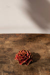 Red 'Colour of Seasons' Brooch by Makiko Oda