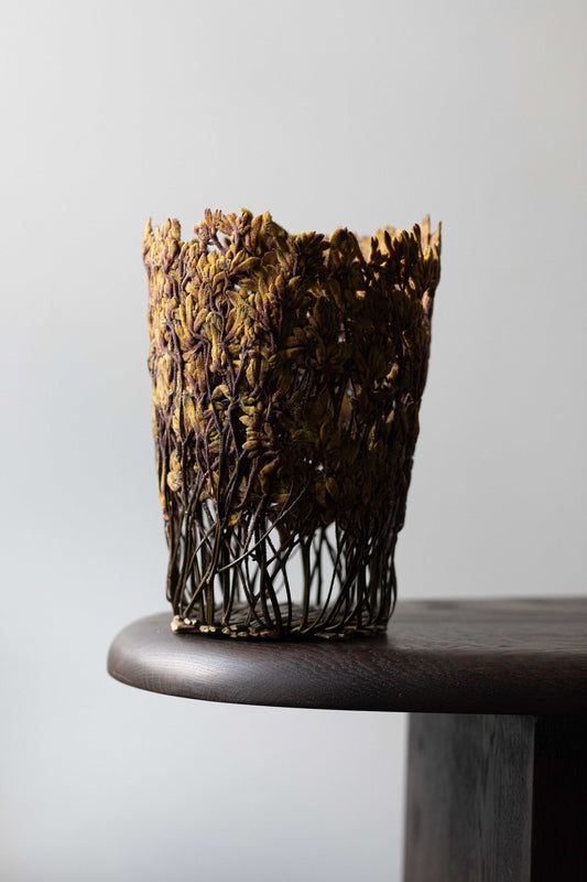 Orange Kangaroo Paw Flower by Shannon Clegg