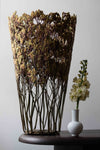 Large Orange Kangaroo Paw Flower by Shannon Clegg