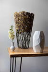 Large Orange Kangaroo Paw Flower by Shannon Clegg