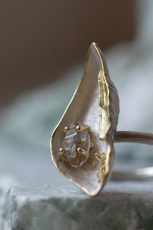Wunderkammer Ring' by Laura Ngyou