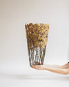 Large Orange Kangaroo Paw Flower by Shannon Clegg