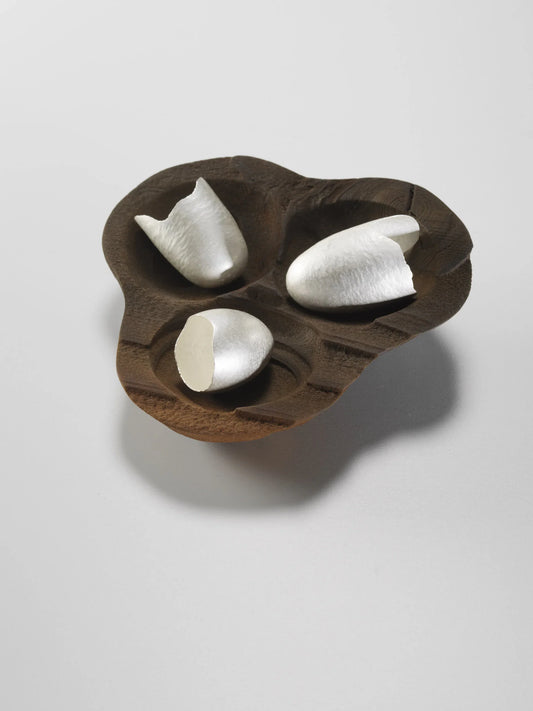 Opening of Tidelines