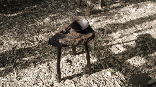 Introducing Alex Walshaw