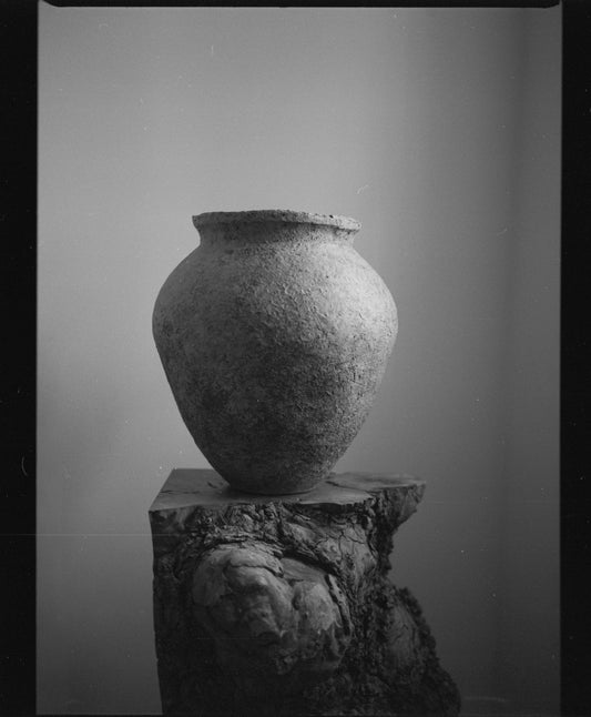 NEW IN   |   On Film