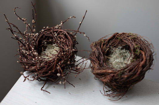 Nesting – A Solo Show of Joe Hogan
