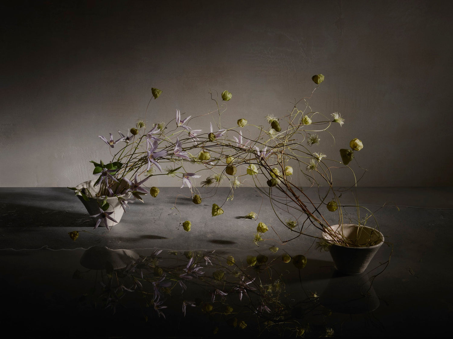FLOW GALLERY
