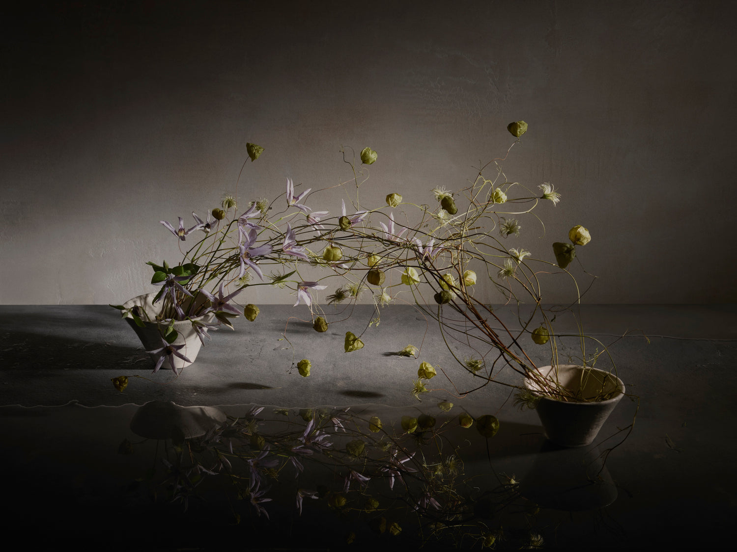 FLOW GALLERY
