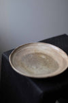 Dish by Abigail Schama
