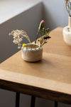 Pique-fleurs en couronnes', small,  by Cécile Daladier