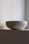 Porceline Bowl with Subtle Wood Ash Decoration V