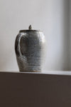 Kohiki Teapot back Handle II