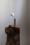 Cylinder Vases in Pearl Grey