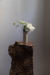 Cylinder Vases in Cloud White