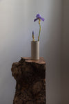 Cylinder Vases in Cloud White