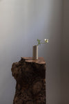 Cylinder Vases in Cloud White